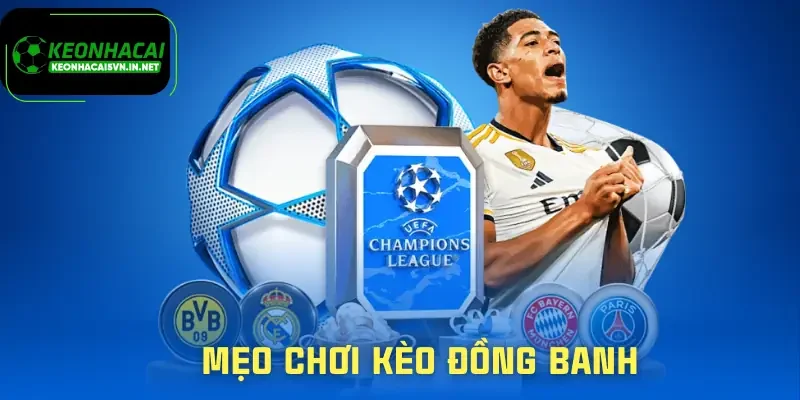 keo-dong-banh-meo-choi