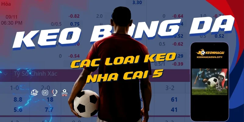 keo-nha-cai-5-la-gi_-dinh-nghia-chuan-xac-2.webp